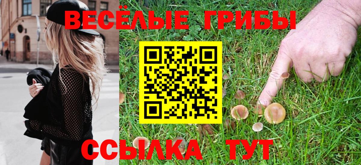 Галлюциногенные грибы Psilocybe Серпухов