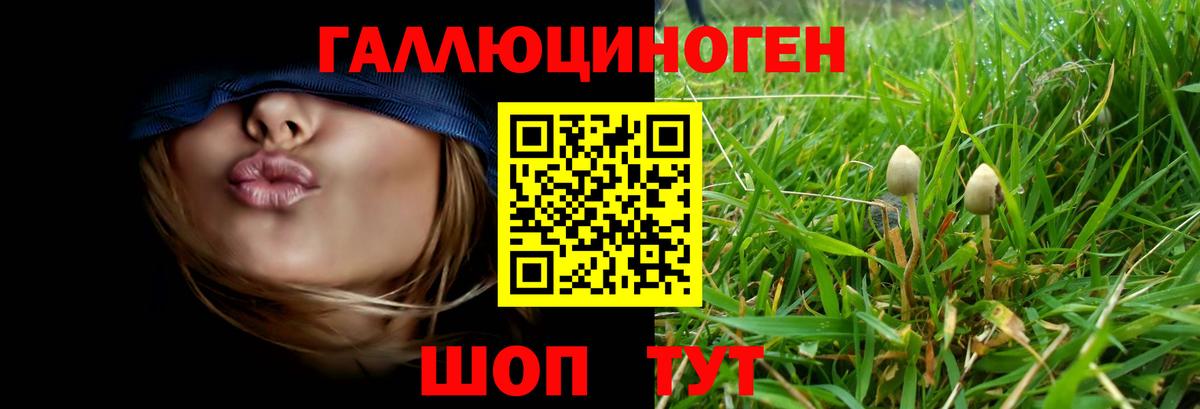 Серпухов  Псилоцибиновые грибы Cubensis  Псилоцибиновые грибы Cubensis  где можно купить   Вход с VPN 